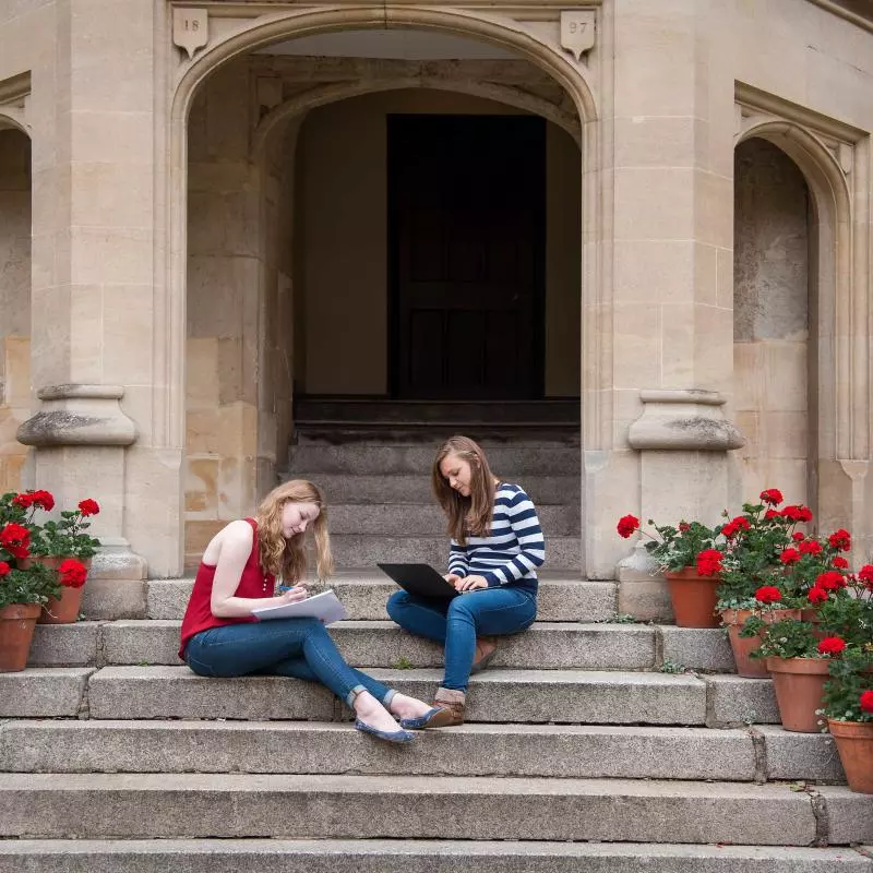 undergrads